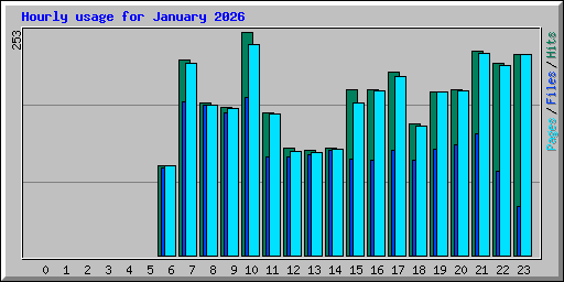 Hourly usage for January 2026