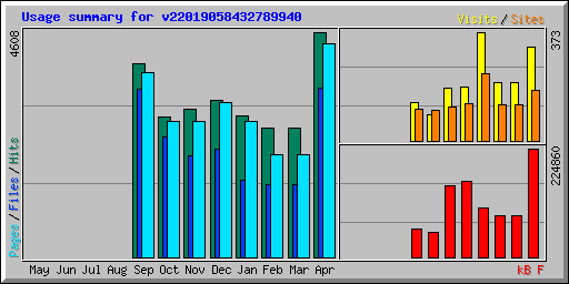 Usage summary for v22019058432789940